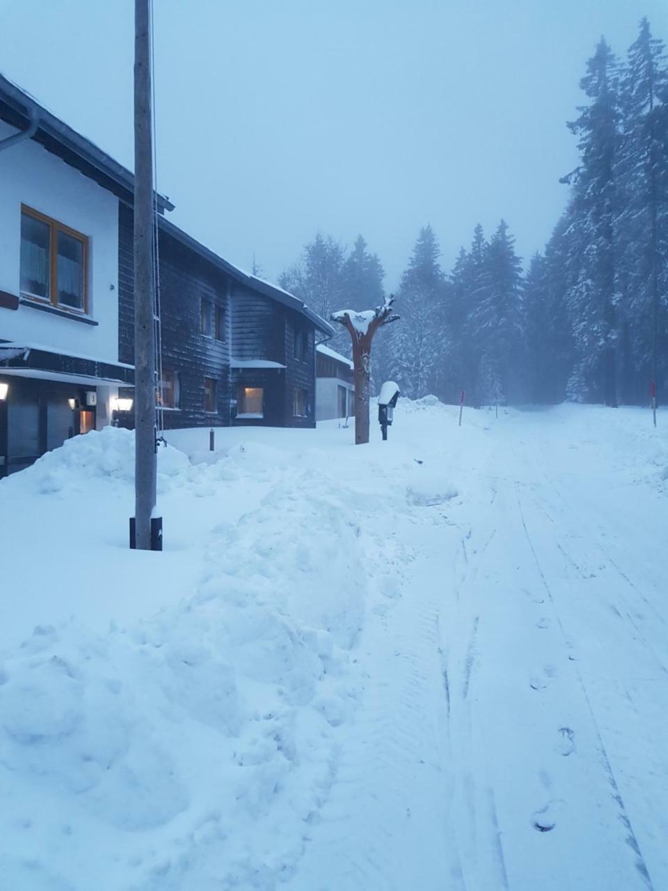 Hotel Naturfreundehaus-Brend Furtwangen Exteriér fotografie